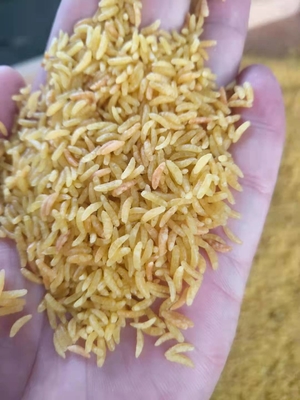 적층된 쌀 기계류 식물 150 kg/H를 만드는 201 304 SS 인조쌀
